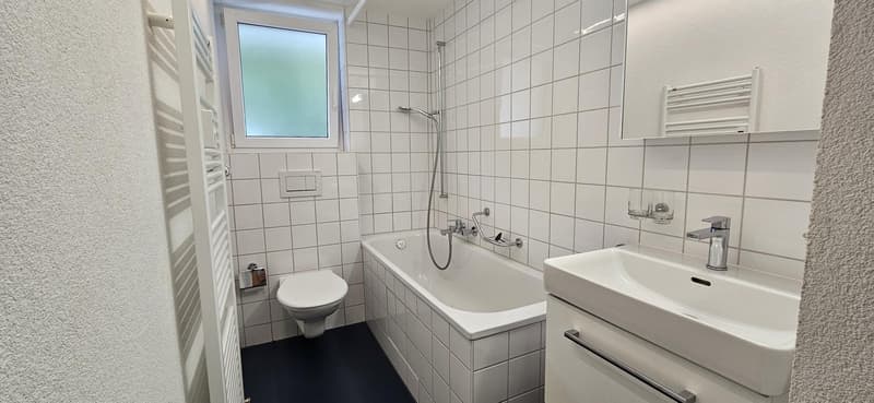 2.5 Zimmerwohnung in Basel (5)
