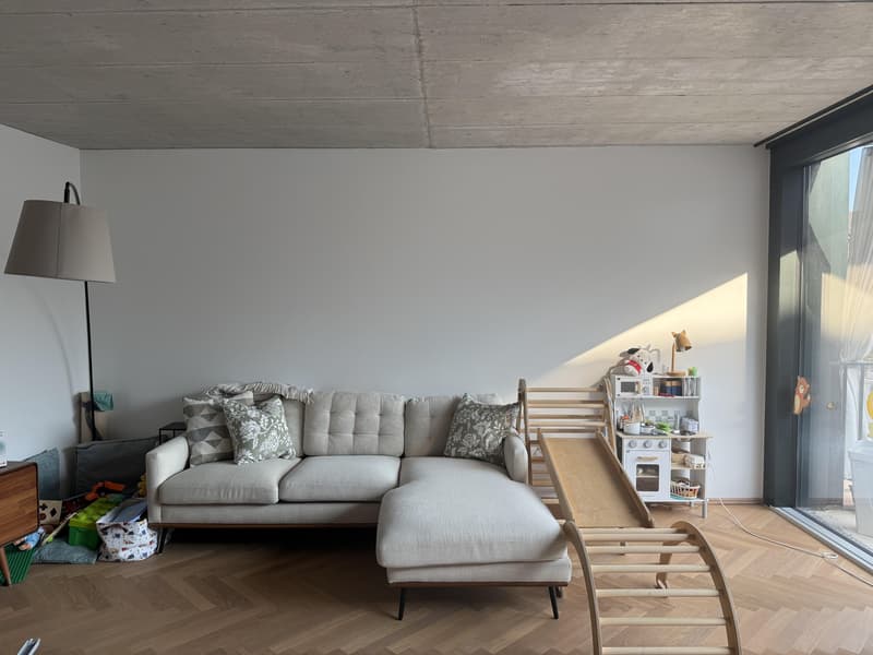 3.5 Zimmerwohnung in Basel (1)