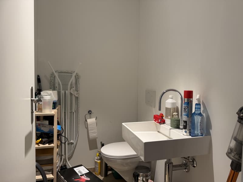 3.5 Zimmerwohnung in Basel (7)