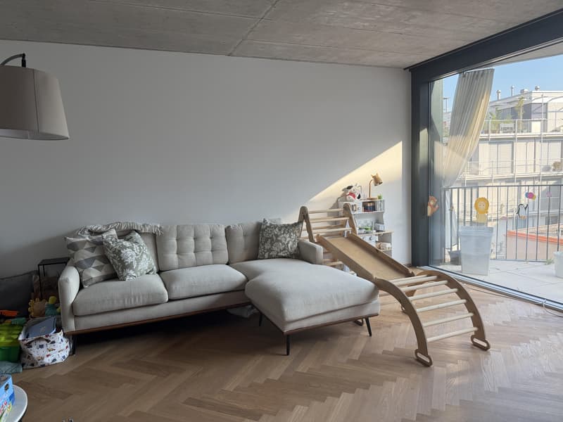 3.5 Zimmerwohnung in Basel (2)