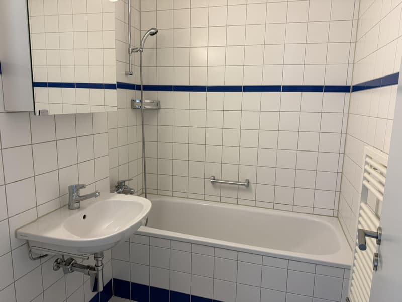 2.5 Zimmerwohnung in Biel/Bienne (8)