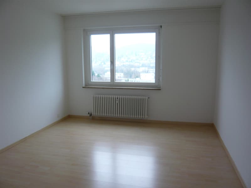3.5 Zimmerwohnung in Aesch BL (3)