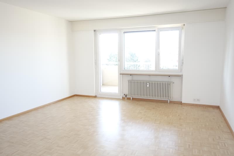3.5 Zimmerwohnung in Aesch BL (5)