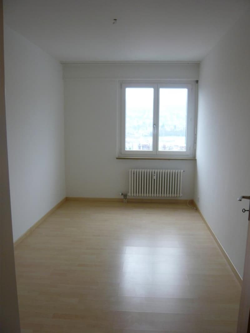 3.5 Zimmerwohnung in Aesch BL (4)