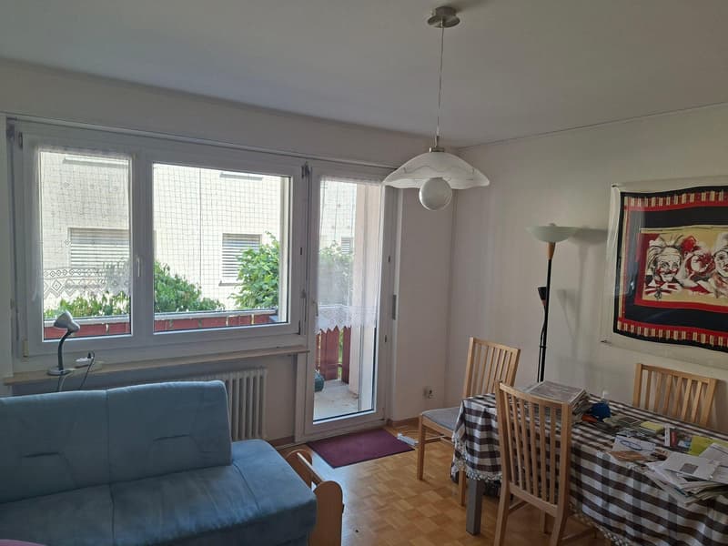 3.0 Zimmerwohnung in Riehen (2)