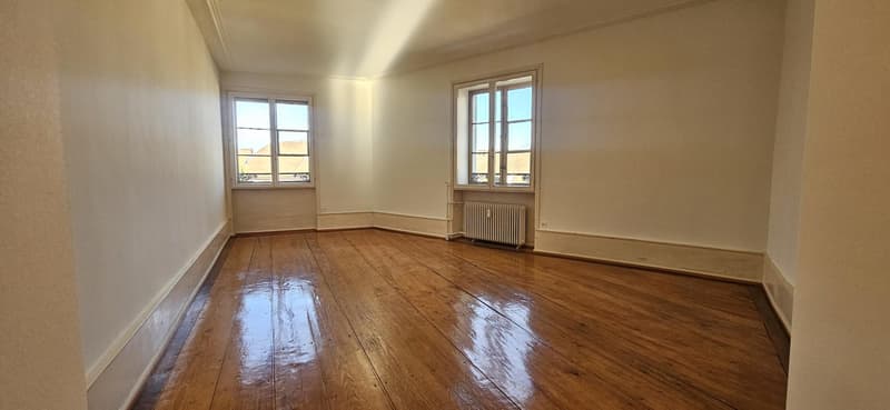 Charmante 3.0 Zimmerwohnung im Herzen von Basel (4)