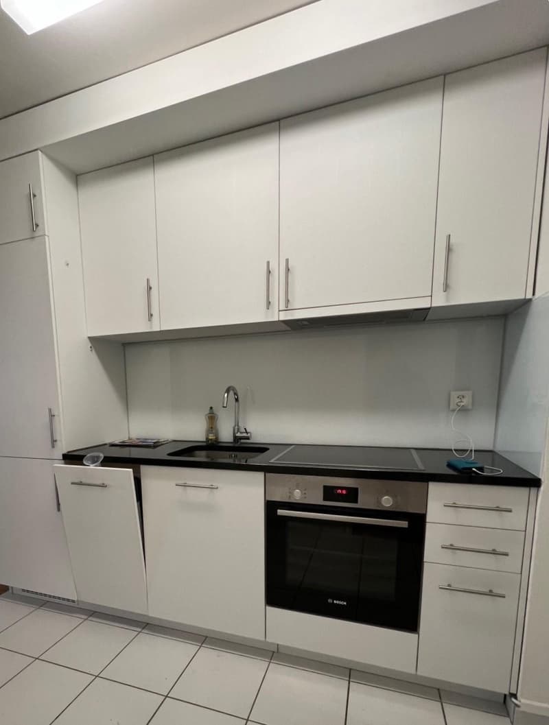 1.0 Zimmerwohnung in Basel (3)
