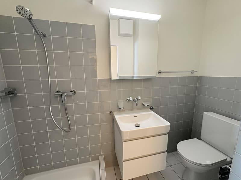 1.0 Zimmerwohnung in Basel (4)