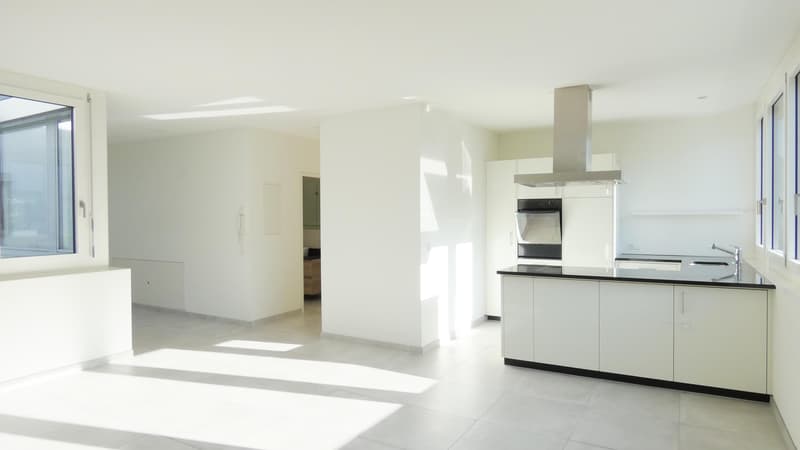 3.5 Zimmerwohnung in Oberwil BL (2)