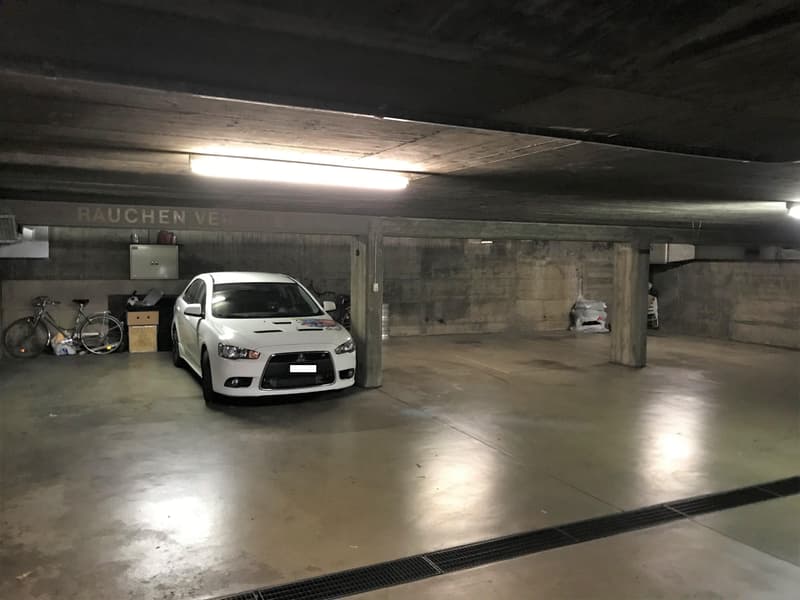 Einstellplatz im Gundeli, Nähe Bahnhof SBB (1)