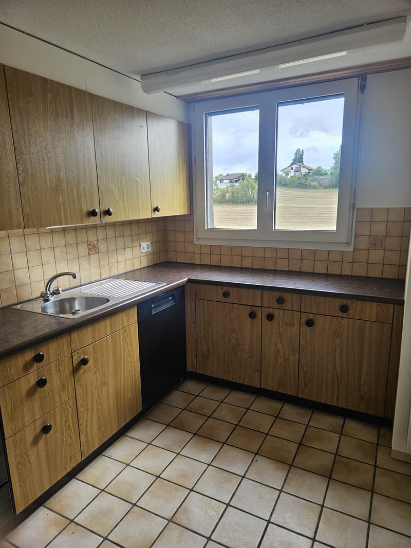 2.5 Zimmerwohnung in Reinach AG (9)