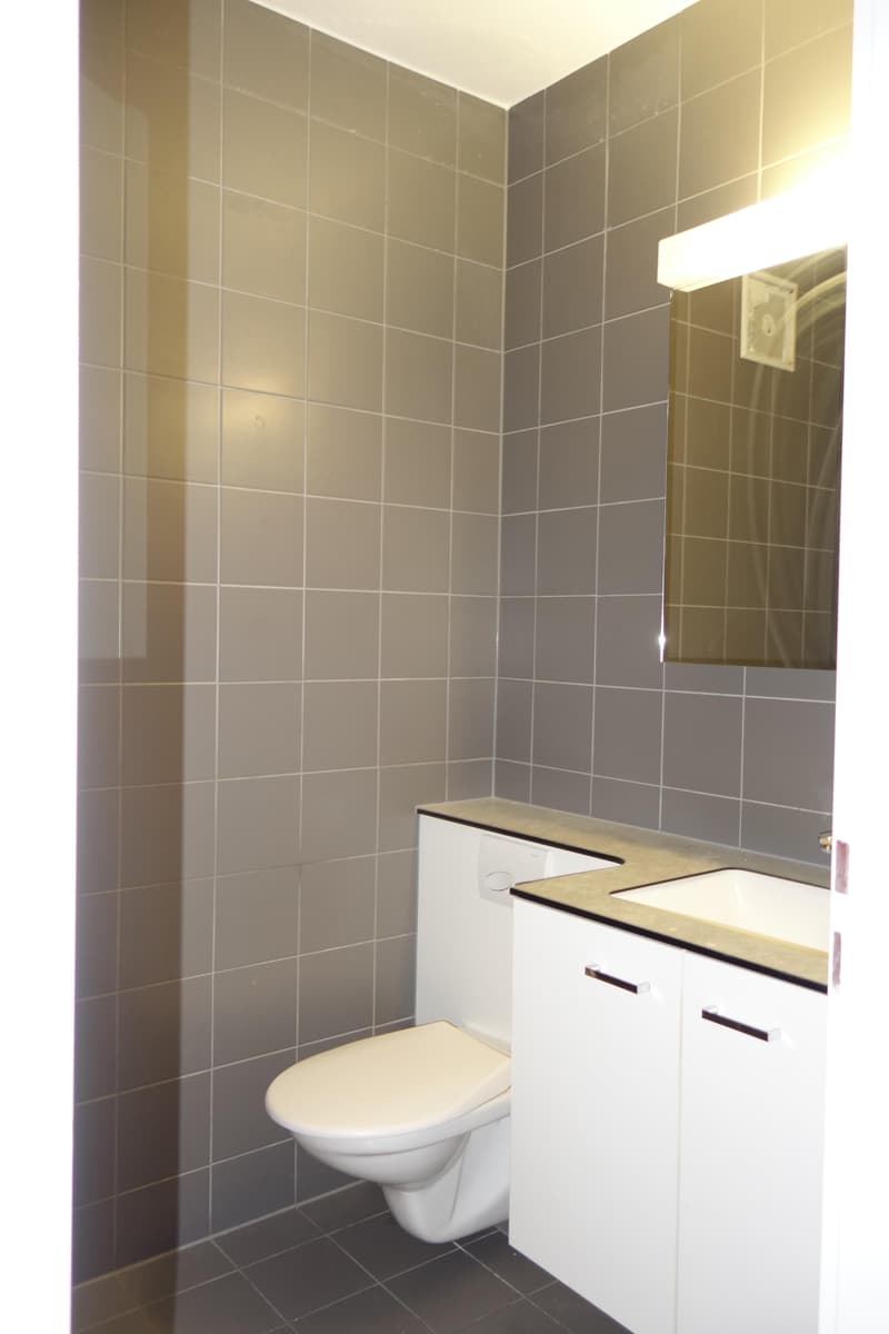 Helle 3-Zimmer-Wohnung mit Balkon an der Frobenstrasse in Basel (11)