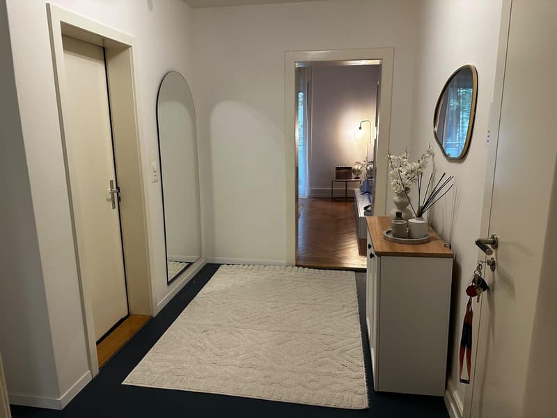 Attraktive 2-Zimmerwohnung in Basel (5)