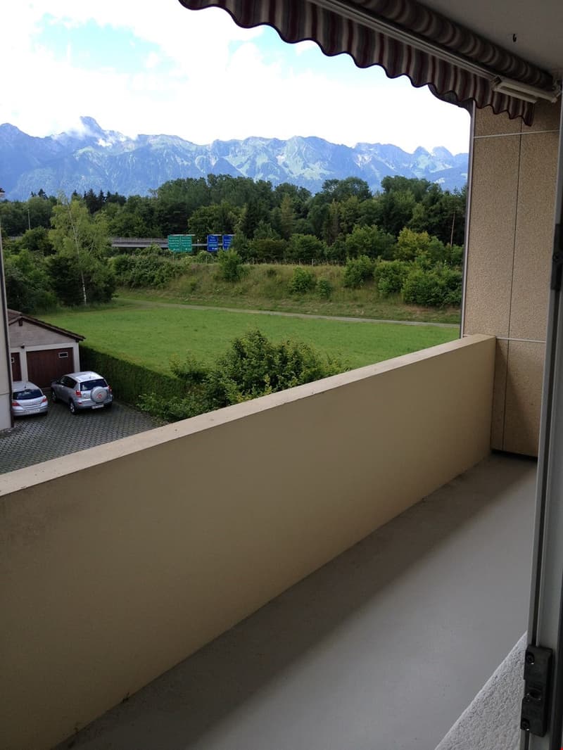schöne 4.5-Zimmerwohnung mit atemberaubenden Blick auf die Alpen (10)