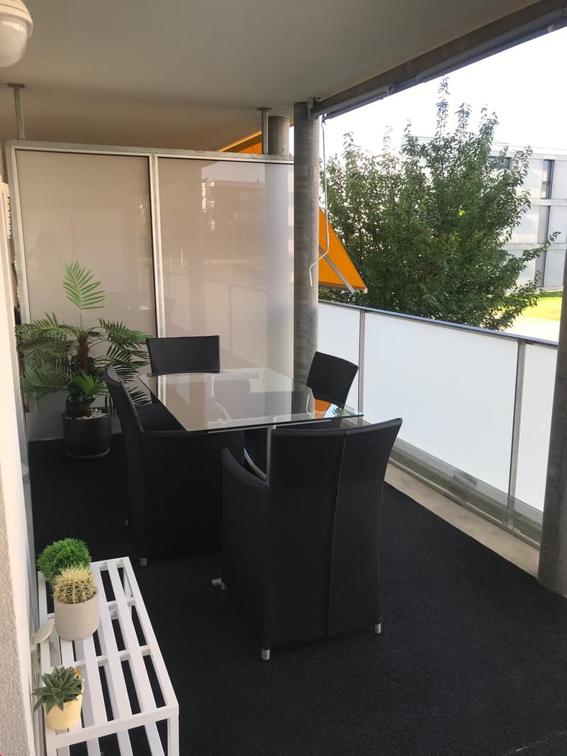 Schöne 4.5-Zimmerwohnung (7)
