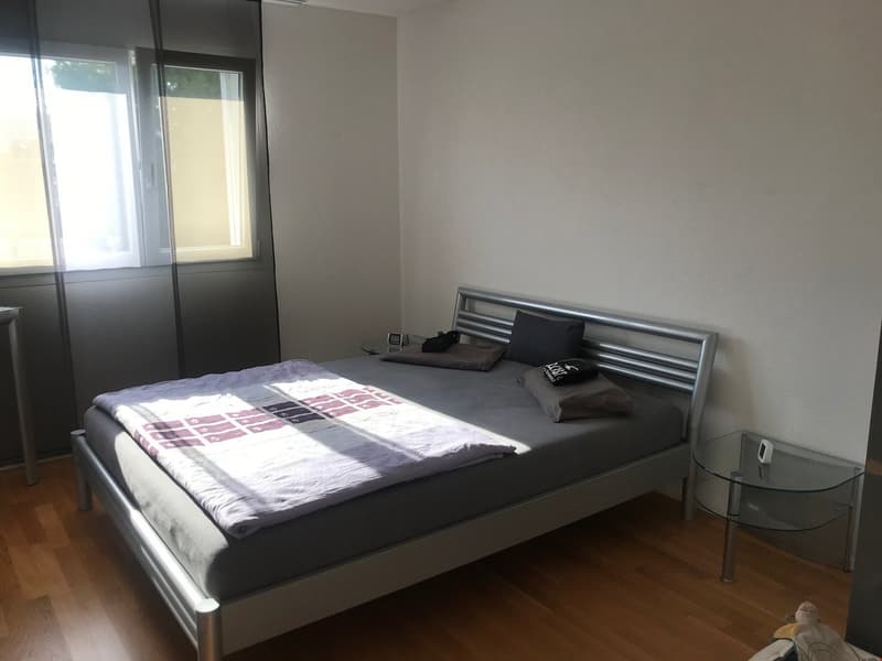 Schöne 4.5-Zimmerwohnung (6)