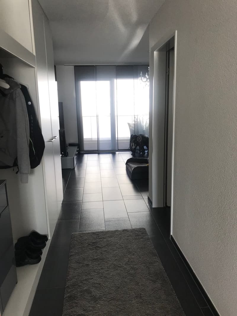 Schöne 3.5-Zimmerwohnung (3)