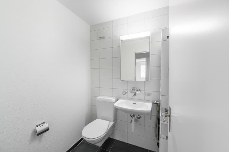 Büündering: Schöne 4.5-Zimmerwohnung zu vermieten (6)