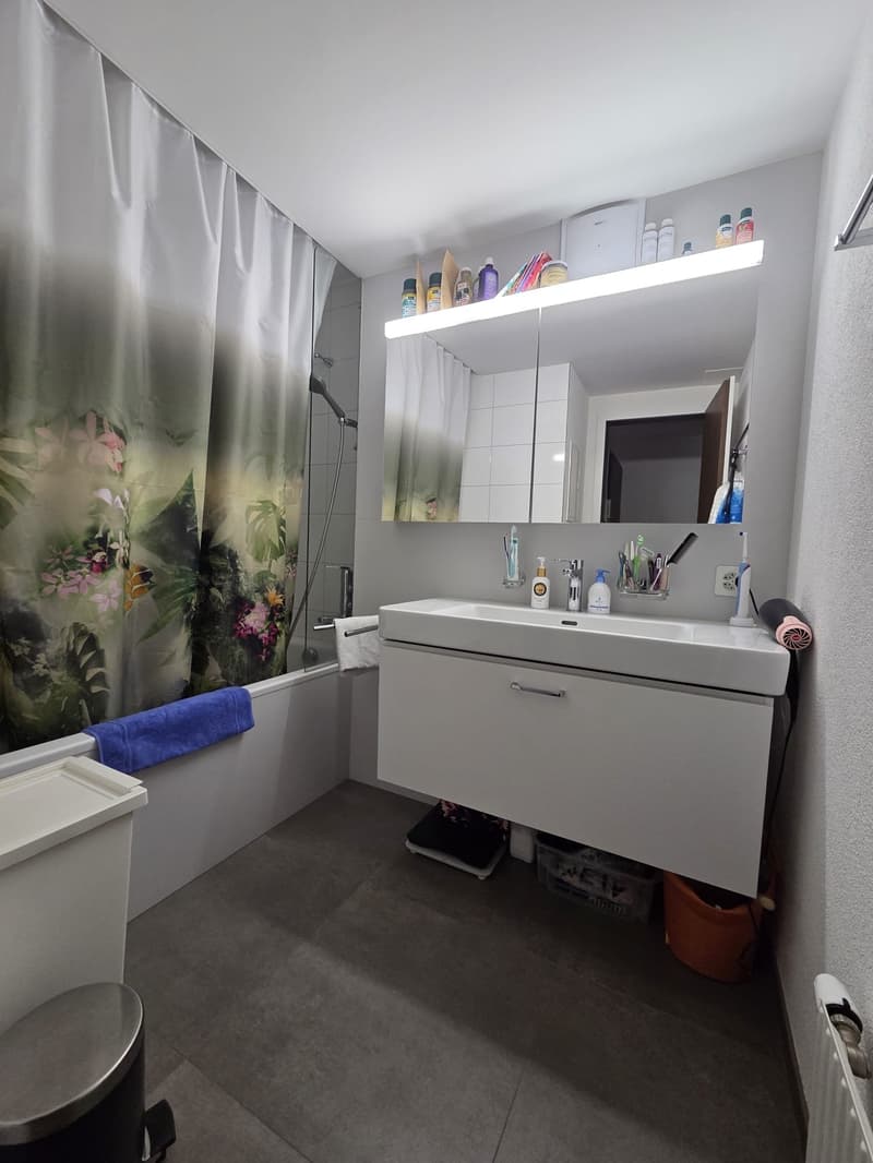 grosse 3.5-Zimmerwohnung mit zusätzlicher Galerie und eigener Waschküche (7)
