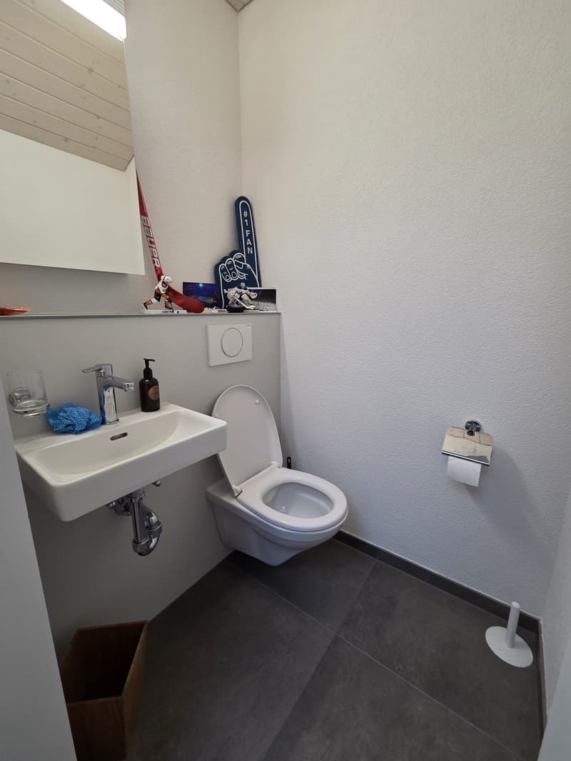 grosse 3.5-Zimmerwohnung mit zusätzlicher Galerie und eigener Waschküche (9)