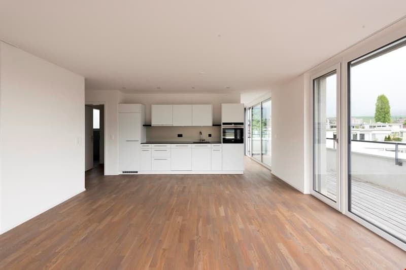 helle Attikawohnungen mit 53m2 Terrasse (2)