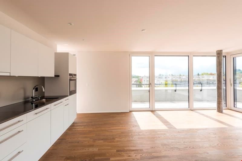 helle Attikawohnungen mit 53m2 Terrasse (1)