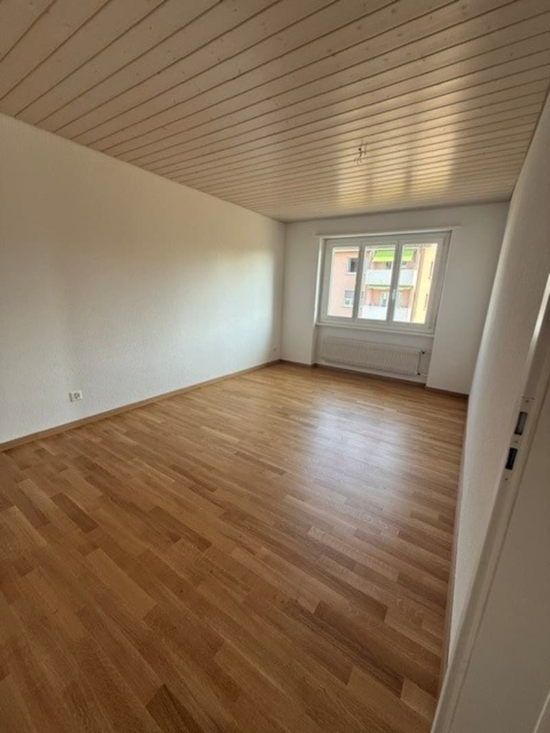 Modern aber trotzdem preiswert! (5)