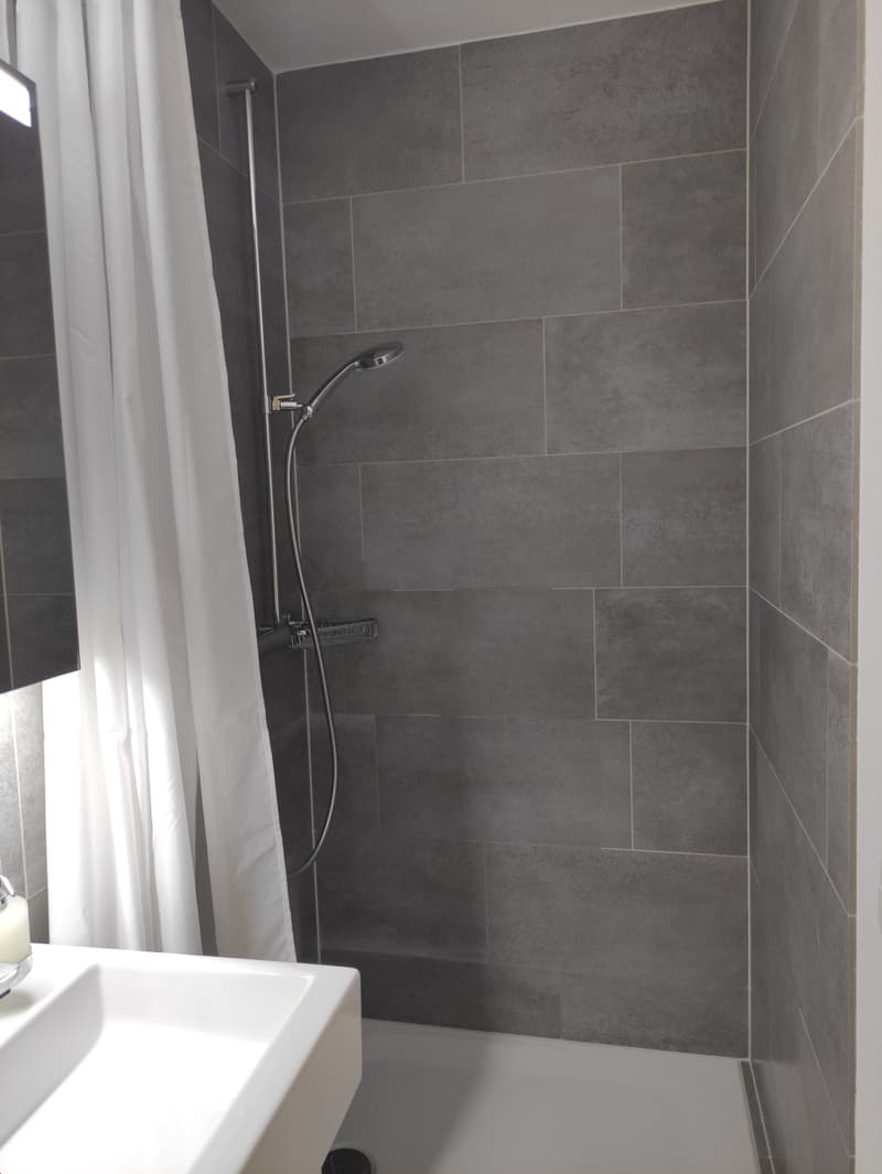 Exklusive Duplexwohnung (4)