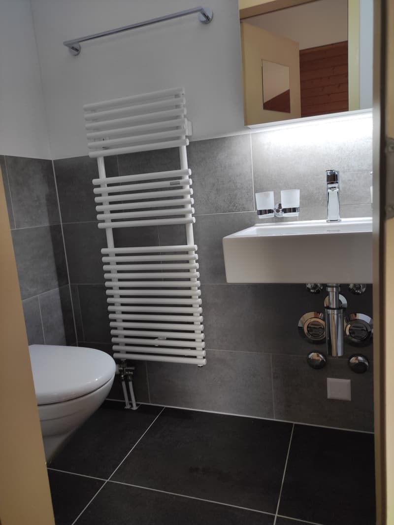 Exklusive Duplexwohnung (3)
