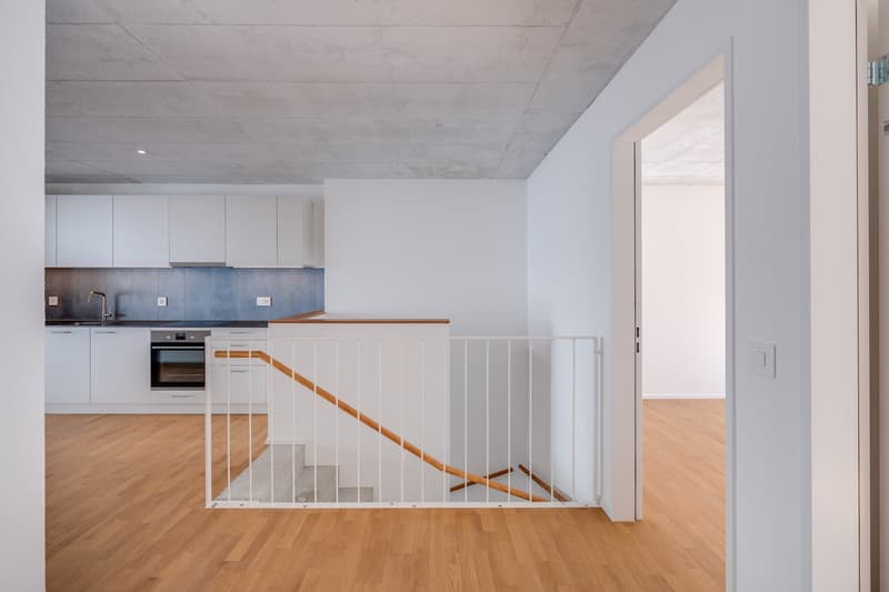 Der Falke ruft: Willkommen im neuen Zuhause! (5)