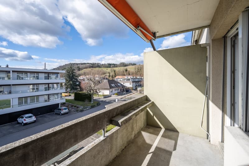 ein neues Zuhause für Sie (9)