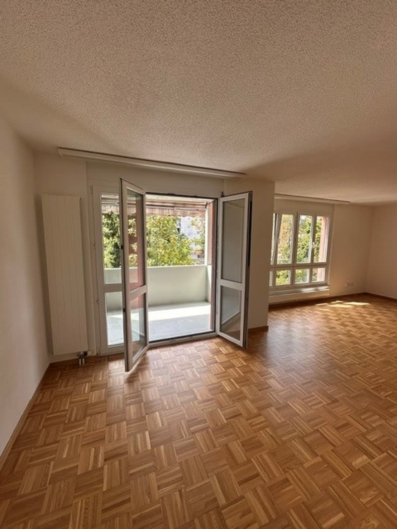 Grosse 3.5-Zimmer-Wohnung mit Balkon (1)
