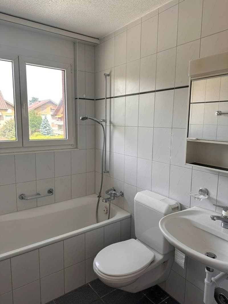 Grosse 3.5-Zimmer-Wohnung mit Balkon (6)