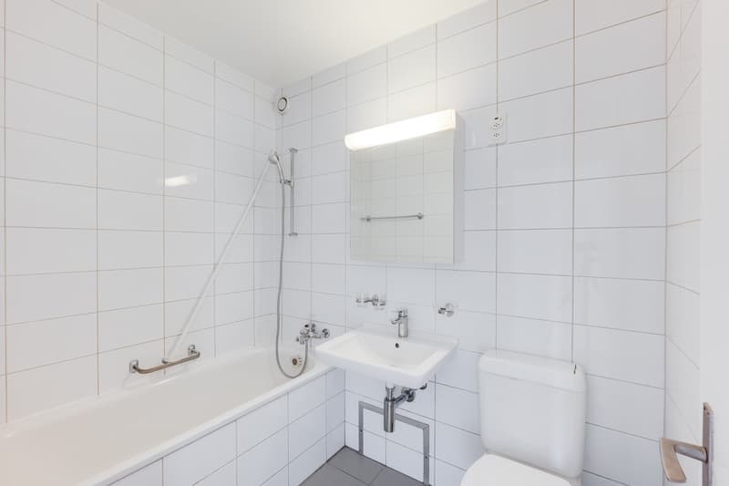 grosszügige 3.5-Zimmerwohnung im 13. OG mit Weitsicht (3)