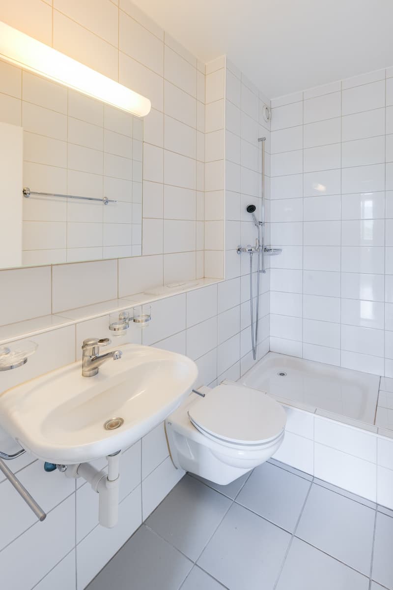 grosszügige 3.5-Zimmerwohnung im 13. OG mit Weitsicht (8)