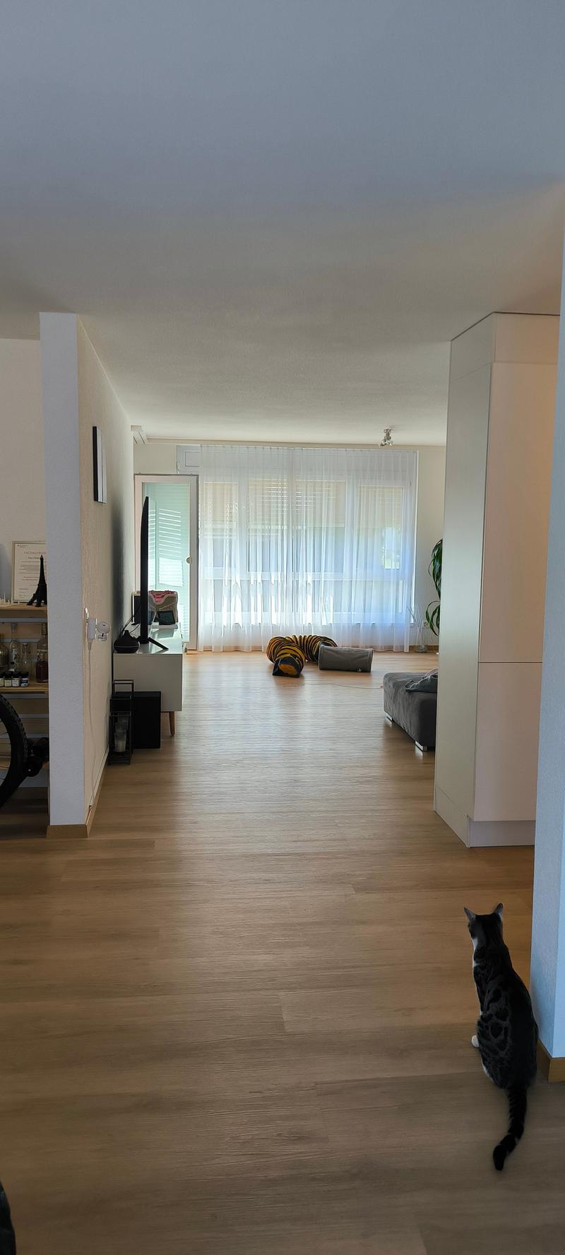 modernisierte 4.5-Zimmerwohnung in ruhigem Quartier (2)