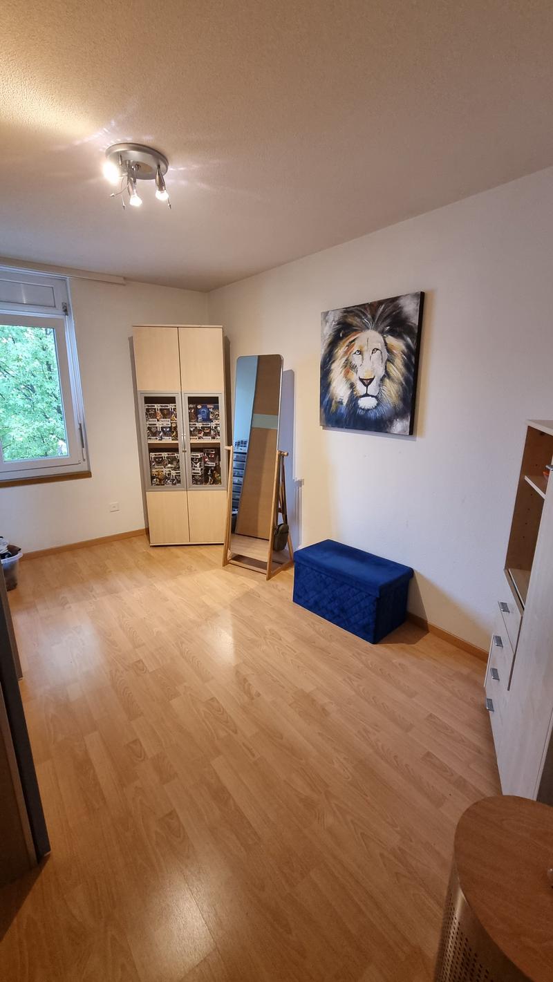 modernisierte 4.5-Zimmerwohnung in ruhigem Quartier (7)
