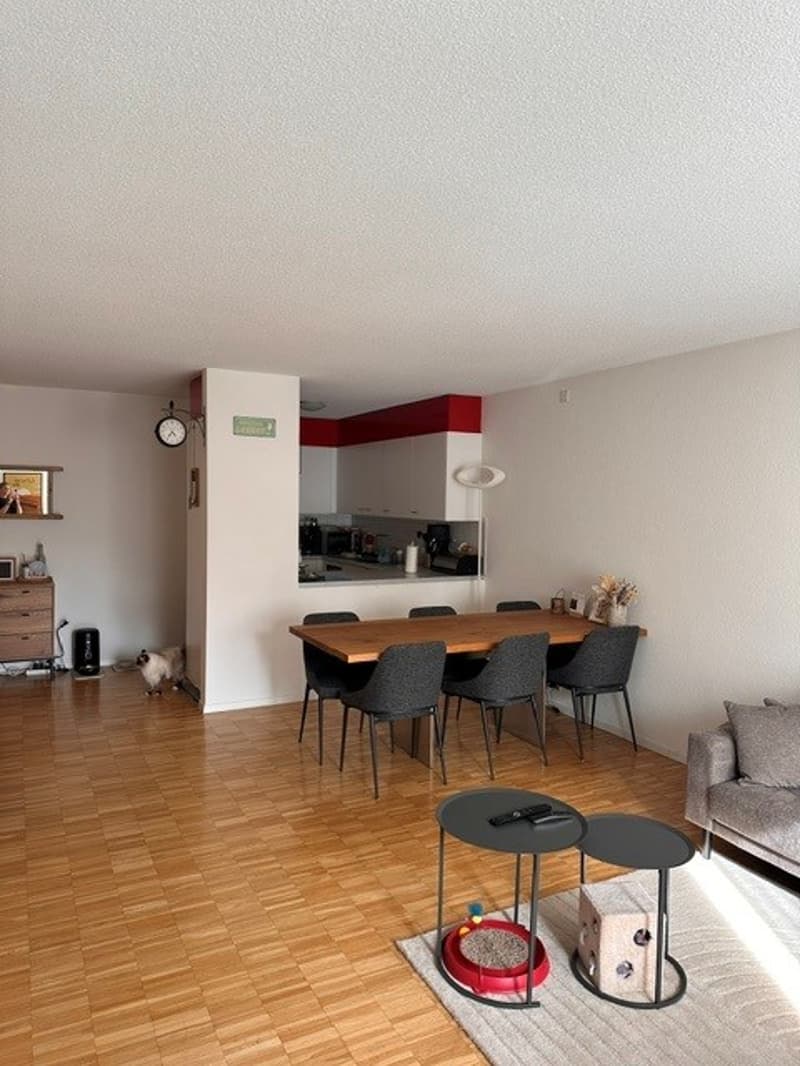 Geräumige 3.5-Zimmerwohnung zu vermieten (7)