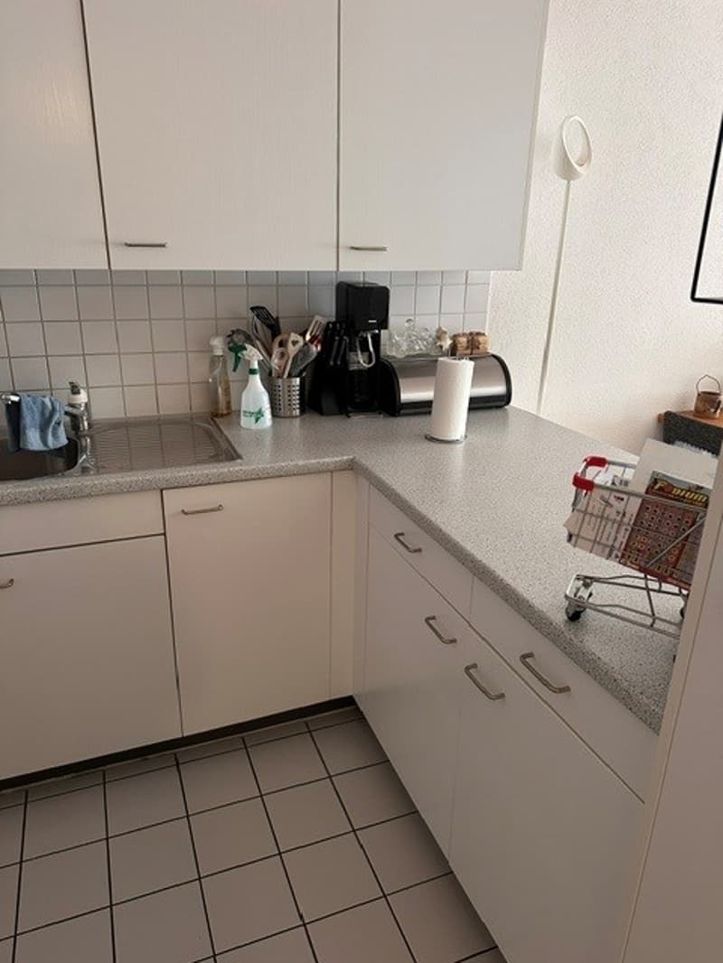 Geräumige 3.5-Zimmerwohnung zu vermieten (5)
