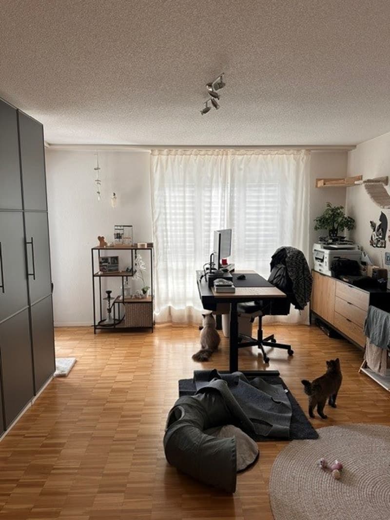 Geräumige 3.5-Zimmerwohnung zu vermieten (8)