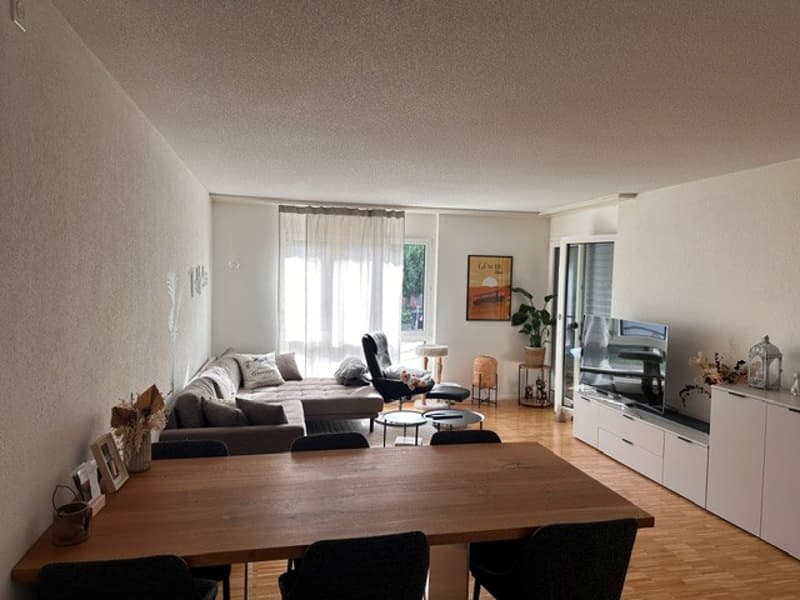Geräumige 3.5-Zimmerwohnung zu vermieten (3)
