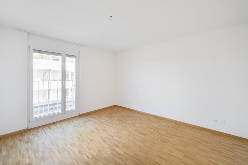 Attraktive, helle Attika-Wohnung mit Schwimmteichnutzung und grosser Terrasse 84m2 (8)