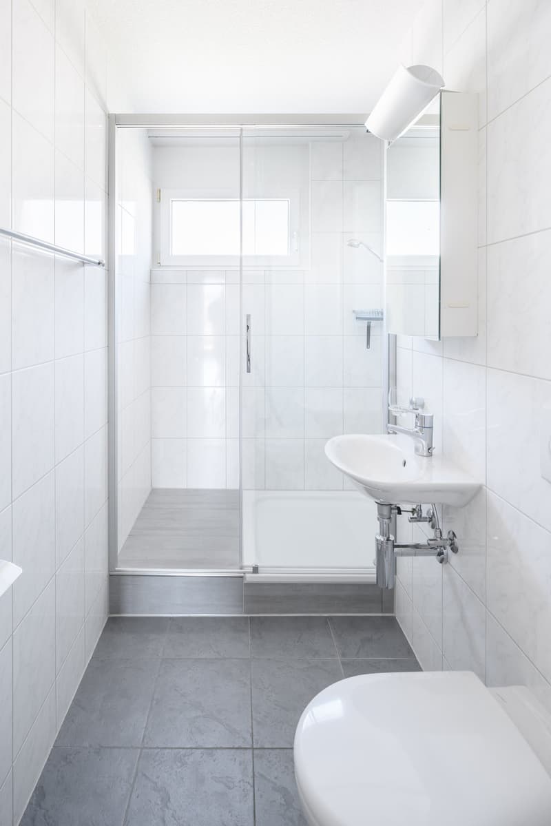 Attraktive, helle Attika-Wohnung mit Schwimmteichnutzung und grosser Terrasse 84m2 (7)