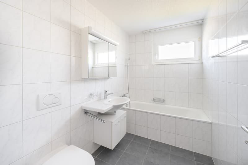 Attraktive, helle Attika-Wohnung mit Schwimmteichnutzung und grosser Terrasse 84m2 (6)