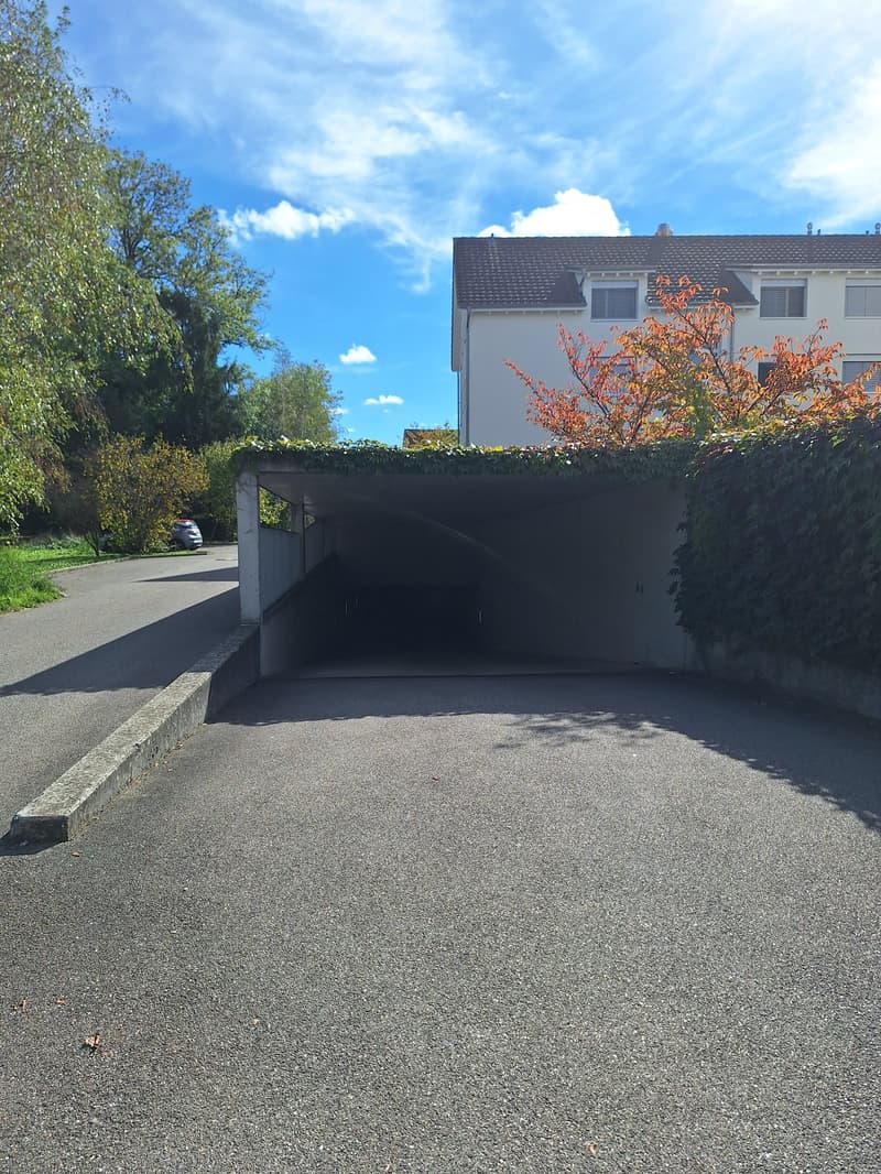Doppeleinstellhallenplatz zu vermieten (4)
