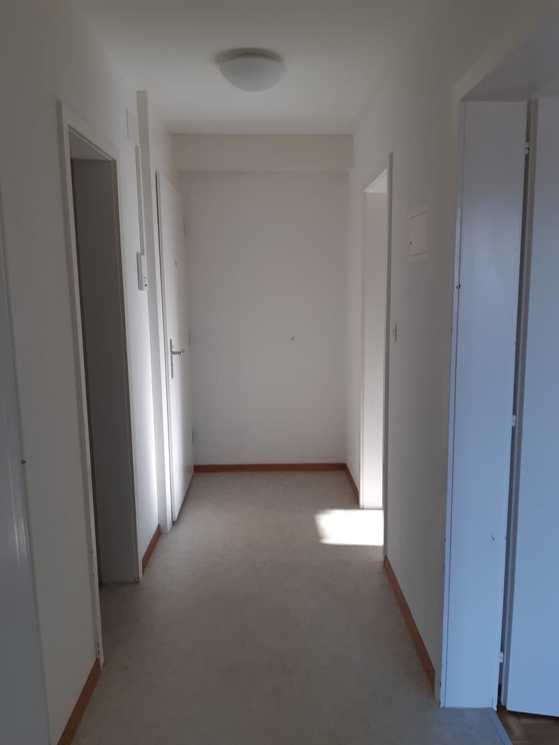 grosszügige 2.5-Zimmerwohnung mit Gartensitzplatz (5)