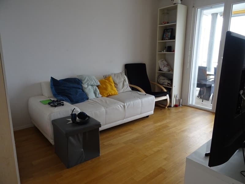 Schöne 3.5-Zimmerwohnung (4)