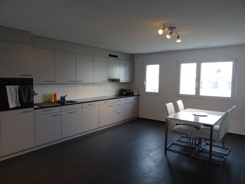 Schöne 3.5-Zimmerwohnung (1)