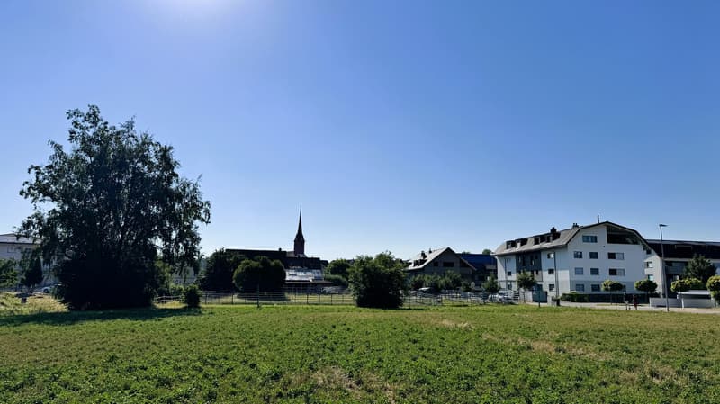 WALTPARK - Einzigartiger Grundriss wird durch riesigen Balkon ergänzt (10)