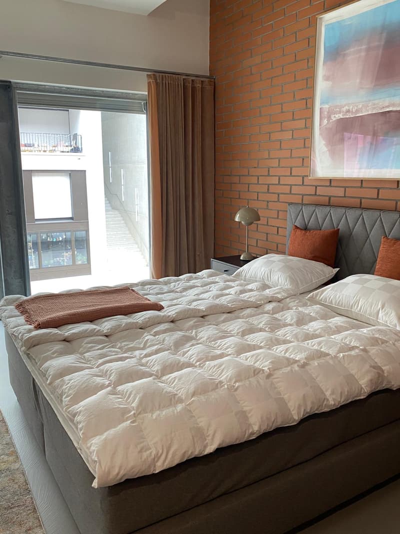 Loft arredato con stile unico in un edificio storico (10)